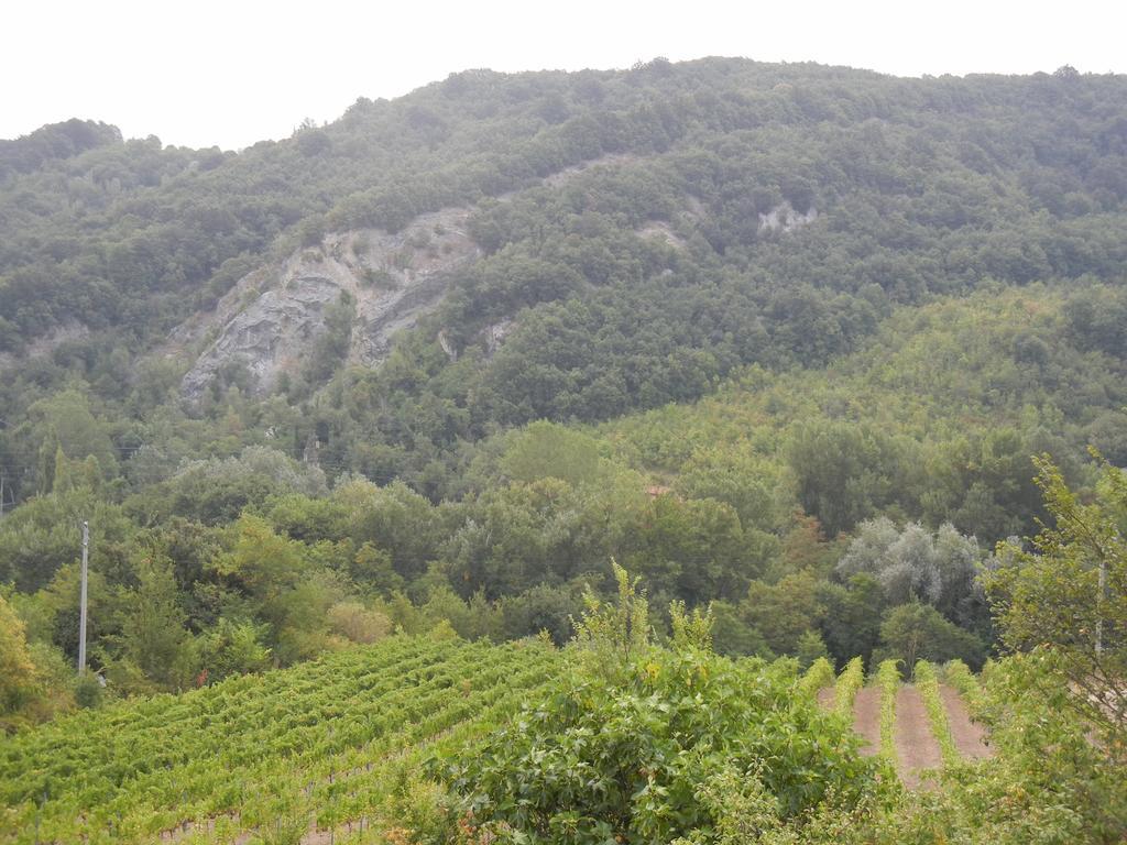 La Colombarola Agriturismo Farneto Buitenkant foto