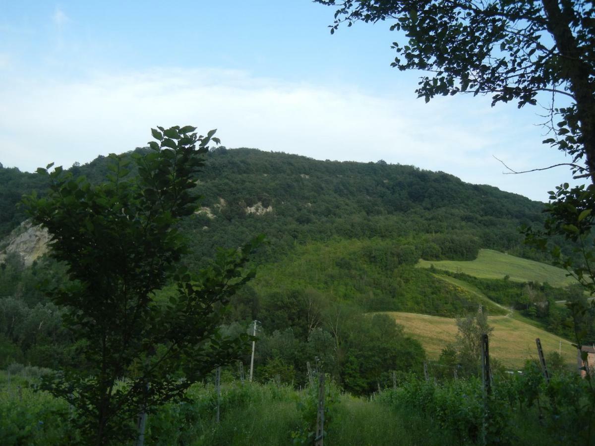 La Colombarola Agriturismo Farneto Buitenkant foto