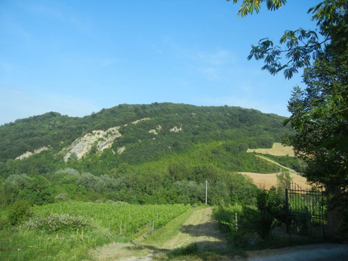 La Colombarola Agriturismo Farneto Buitenkant foto